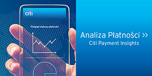 Citi Payment Insight