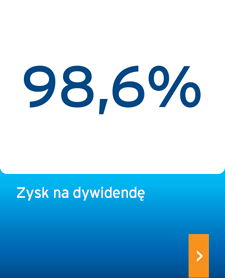 Zysk na dywidendę: 98,6%